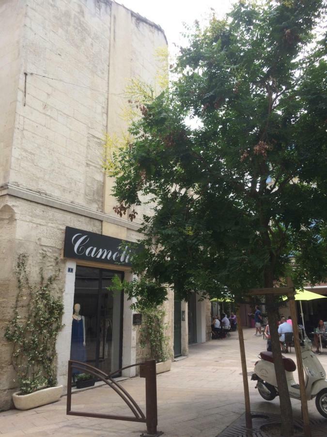 Nostradamus Apartamento Saint-Rémy-de-Provence Exterior foto